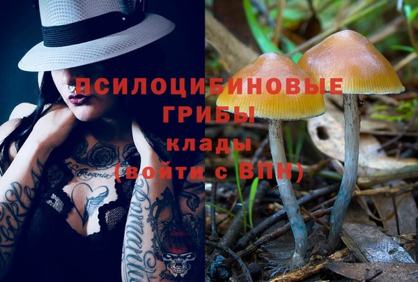 тгк Володарск