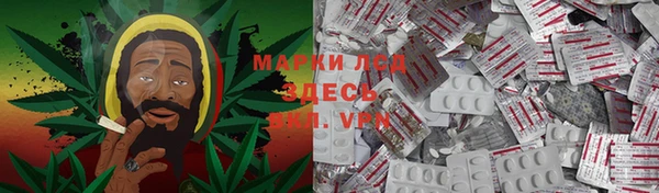 тгк Володарск