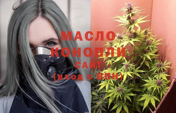 тгк Володарск