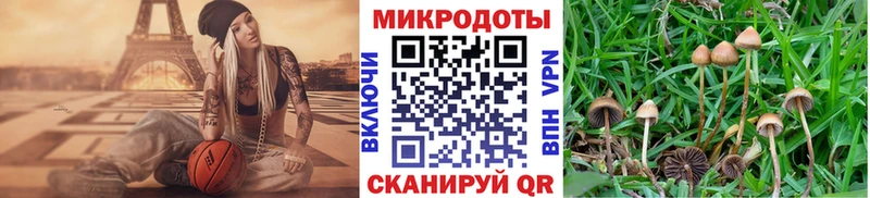 Галлюциногенные грибы MAGIC MUSHROOMS Купить где Лагань